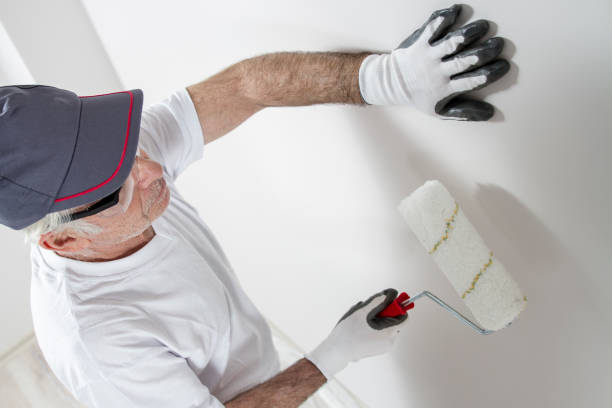 Best Drywall Sanding and Smoothing  in USA